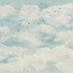 Cloud Wallpaper & Murals
