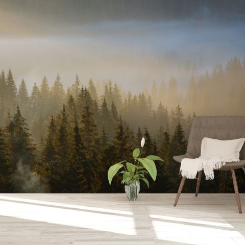 Foggy Pine Forest Landscape Wallpaper Mural