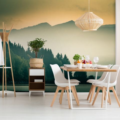 Misty Mountain View Wallpaper Mural
