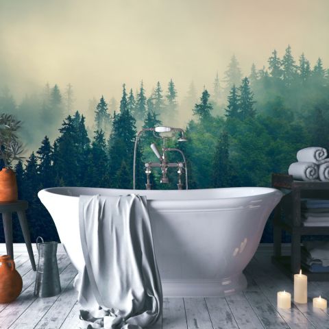 Misty Pine Forest Wallpaper Mural