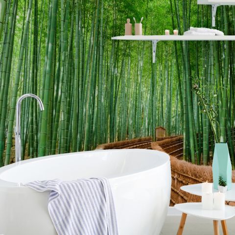 Bamboo Forest Wallpaper Mural