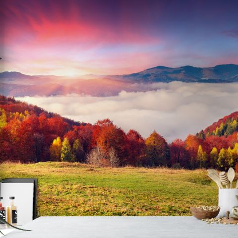 Colorful Nature Autumn Wallpaper Mural