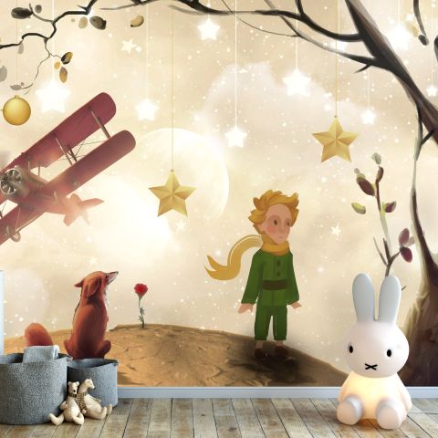 Kids Little Prince Wallpaper Mural