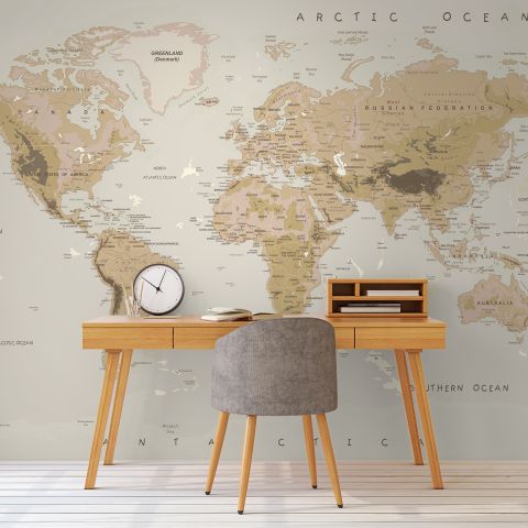 Soft Brown Political World Map Wallpaper Mural