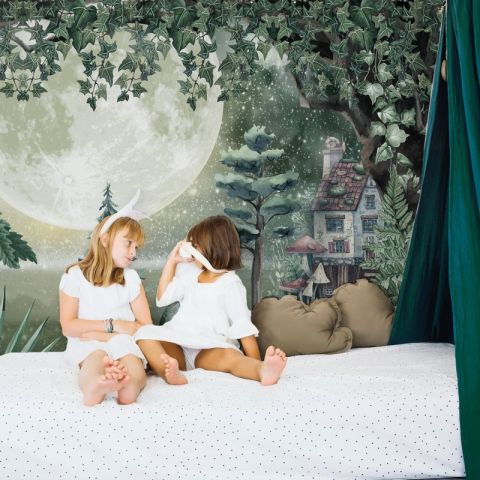Night Forest Landscape Wallpaper Mural