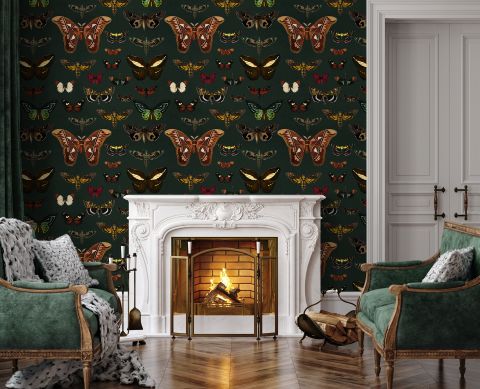 Colorful Butterfly Patterns on Green Background Wallpaper Mural