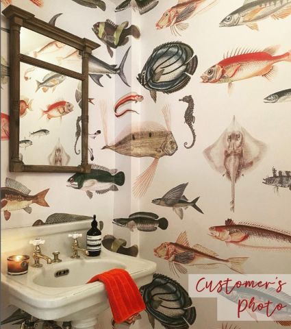 Vintage Style Aqua Fish Art Wallpaper Mural