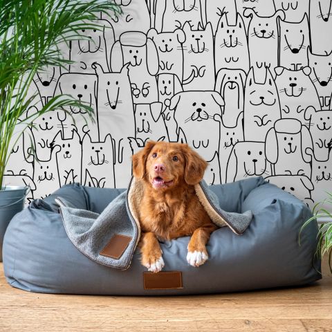 Cute Dog Face Pattern for Kids Wallpaper Mural