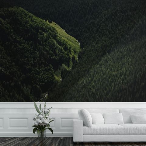 Aerial Nature Forest on Mountains View Wallpaper Mural