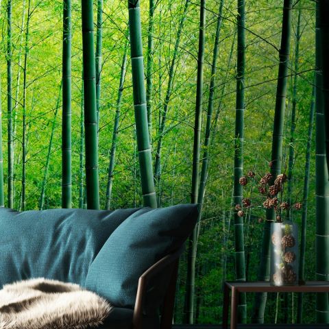 Bamboo Forest Wallpaper Mural