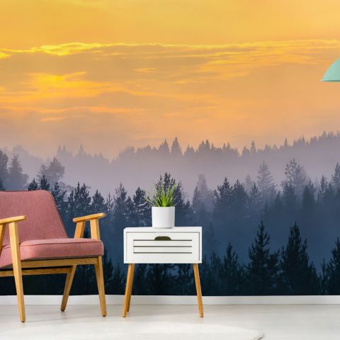 Misty Pine Forest Landscape Wallpaper Mural