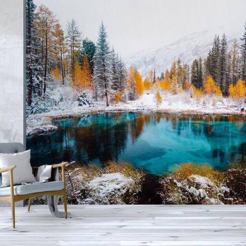 Winter Lake Landscape with Pine Forest Wallpaper Mural