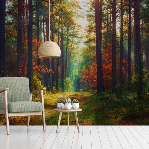 Red Forest Autumn Wallpaper Mural