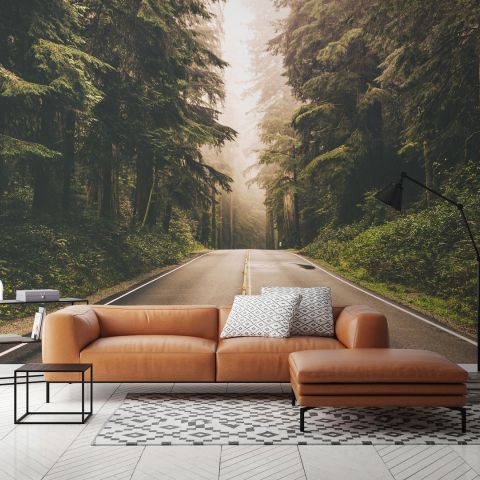 Highway on the Forest Landscape Wallpaper Mural