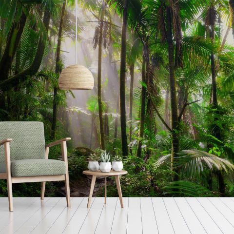 Tropical Forest Jungle Scenery Wallpaper Mural