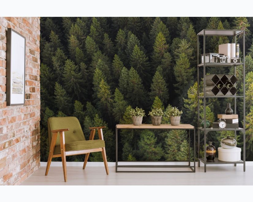 Pine Forest Landscape Wallpaper Mural main product photo