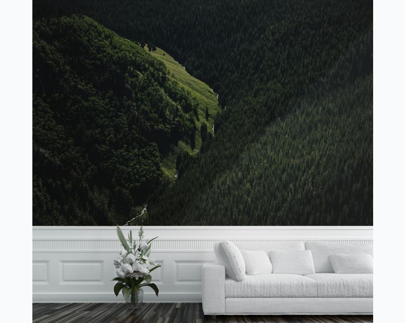 Aerial Nature Forest on Mountains View Wallpaper Mural main product photo