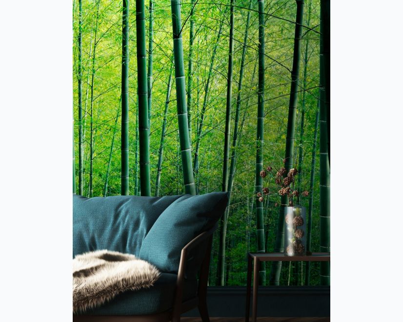 Bamboo Forest Wallpaper Mural main product photo