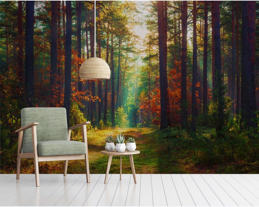 Red Forest Autumn Wallpaper Mural main product photo