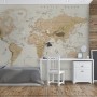 Kids Brown Political World Map with Animals Wallpaper Mural