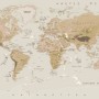 Kids Brown Political World Map with Animals Wallpaper Mural