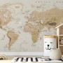 Kids Brown Political World Map with Animals Wallpaper Mural