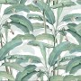 Watercolor Banana Leaf Wallpaper Mural