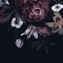 Dark Floral Claret Peony Floral Wallpaper Mural