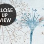 Vintage Dandelion Floral Wallpaper Mural