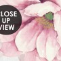 Pastel Pink Flower Wallpaper Mural