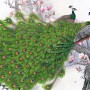 Elegant Peacock with Cherry Blossom Wallpaper Mural