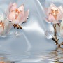 Pearl Lotus Flower and Little Butterfly Wallpaper Mural
