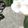 Vintage Cream Flowers Art Wallpaper Mural