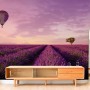 Serene Sunset Lavender and Balloon Landscape Wallpaper Mural