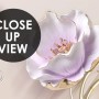 Jewelry Tulip Flower Wallpaper Mural