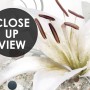 White Lily Floral Wallpaper Mural