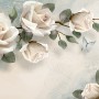 Beautiful White Roses and Butterflies Wallpaper Mural