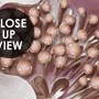 Elegant 3D Floral Pearl Wallpaper Mural