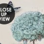 Light Blue Hydrangea Flowers and Butterflies Wallpaper Mural
