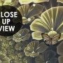 Dark Floral of Yellow Light Wallpaper Mural