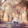 Watercolor Forest and Elk Wallpaper Mural