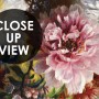Retro Colorful Flowers Wallpaper Mural
