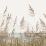 Meadow with Lake Landscape Wallpaper Mural