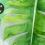 Tropical Leaves and Shading Leaf Wallpaper Mural
