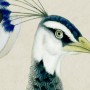 Peacock with Magnolia Blossom Wallpaper Mural