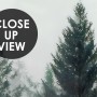 Dark Forest Misty Landscape Wallpaper Mural