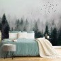 Dark Forest Misty Landscape Wallpaper Mural