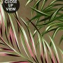 Charcoal Banana and Palm Leaves Wallpaper Mural