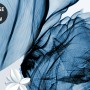 Blue Transparent Floral and White Butterflies Wallpaper Mural