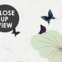 Watercolor Lotus Flower and Butterflies Wallpaper Mural